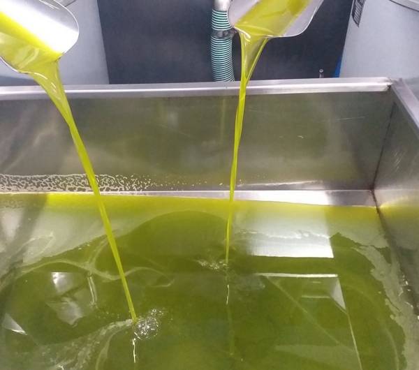 Αβεβαιότητα στην αγορά ελαιολάδου