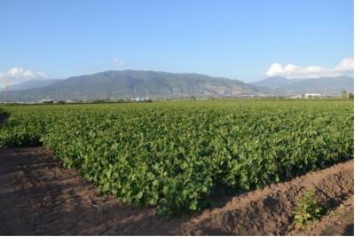 Επί Τάπητος: Κρίση, “ανάπτυξη” και σχεδιασμός...