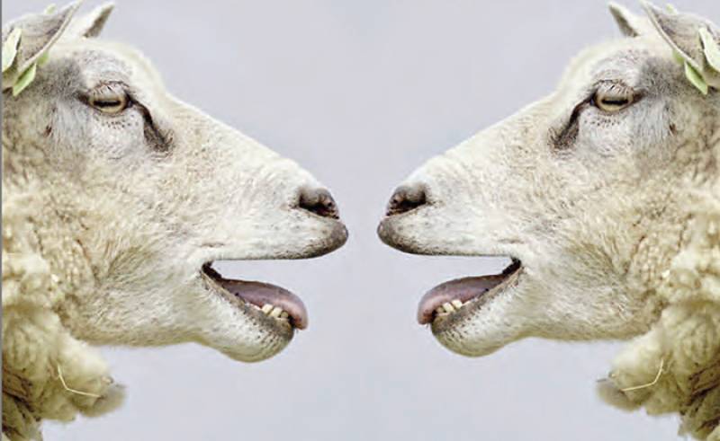 Η "βιομηχανία ερωτήσεων" οδηγεί σε οπισθοδρόμηση