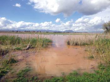 Ξεχείλισε η Λιγδού και πλημμύρισαν καλλιέργειες