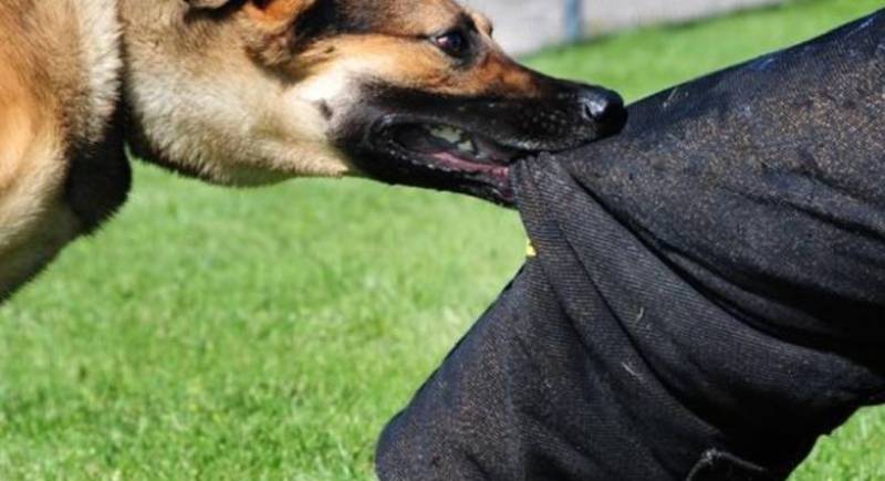 Στο νοσοκομείο γυναίκα από δάγκωμα σκυλιού