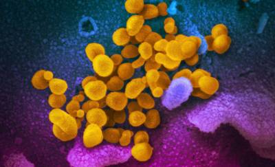 Έρευνα: Πολύ λιγότερο πιθανή η μακρά Covid-19 μετά από λοίμωξη με Όμικρον