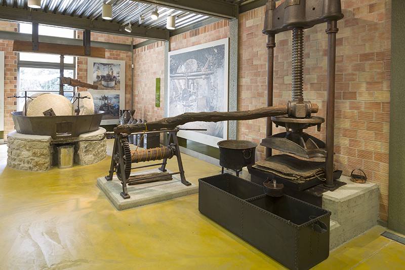 Το Μουσείο Ελιάς και Ελληνικού Λαδιού γιορτάζει τα 15α γενέθλιά του