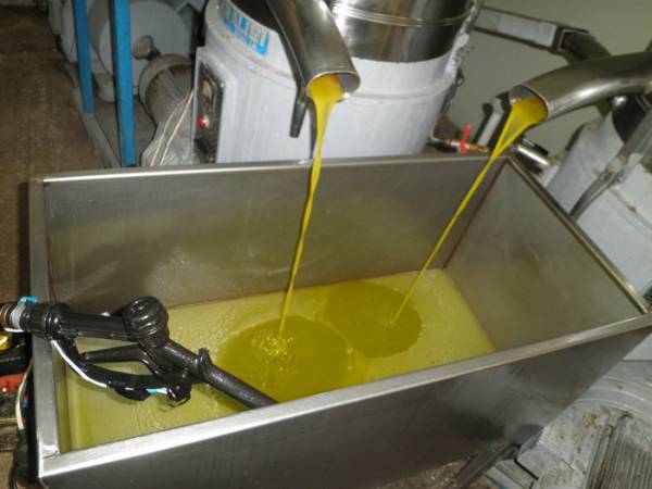 Η ξηρασία στην Ισπανία ανεβάζει το ελαιόλαδο