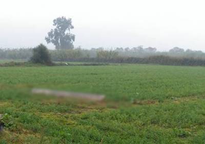 “Χέρι” στις επιδοτήσεις των μεγαλοοφειλετών σχεδιάζει ο ΓΟΕΒ Παμίσου