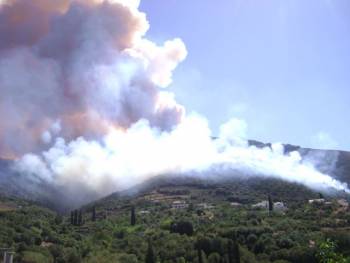Σε ύφεση η μεγάλη πυρκαγιά στην Κυπαρισσσία