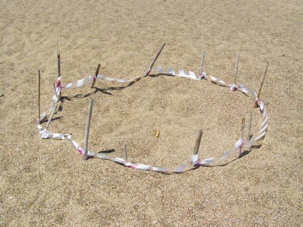 521 φωλιές χελώνας στον Κυπαρισσιακό Κόλπο