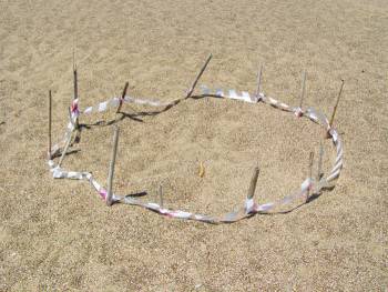 521 φωλιές χελώνας στον Κυπαρισσιακό Κόλπο