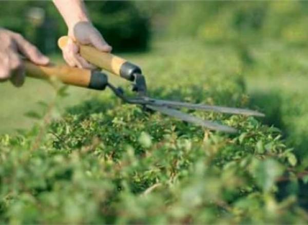 77 προσλήψεις με οκτάμηνη σύμβαση στο Δήμο Τριφυλίας