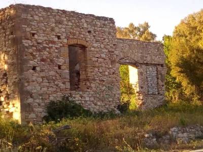 Στο Τελωνείο Μπούκας τα 17 χρόνια του Σωματείου Εθελοντών Μεσσήνης