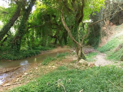 Ο Ορειβατικός Σύλλογος Καλαμάτας καθαρίζει μονοπάτι στη Στενωσιά