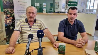 Εγκαταλείπεται η καλλιέργεια της κορινθιακής σταφίδας: “Του χρόνου δεν θα υπάρχει κούρβουλο”! (βίντεο)