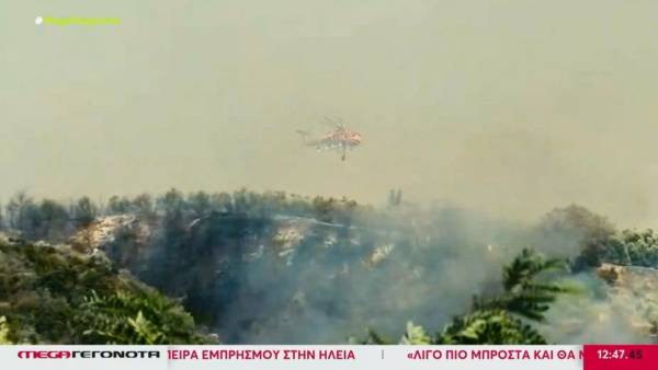 Ηλεία: Χωρίς ενεργά μέτωπα οι πυρκαγιές (Βίντεο)
