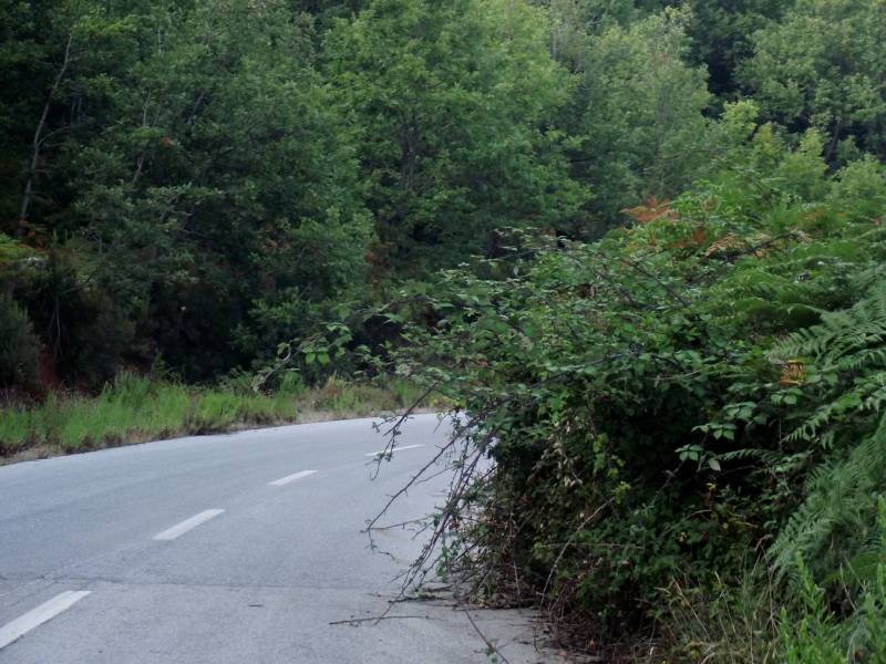 Να συνεχίζουν να κόβουν τα βάτα