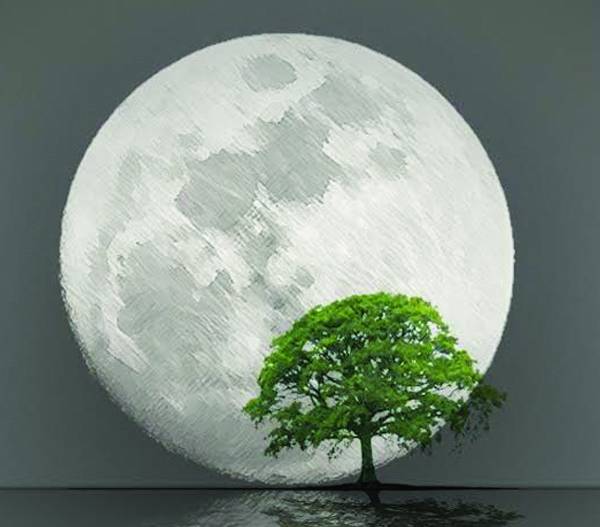 Παρουσίαση βιβλίου "Περιμένοντας τη νύχτα"