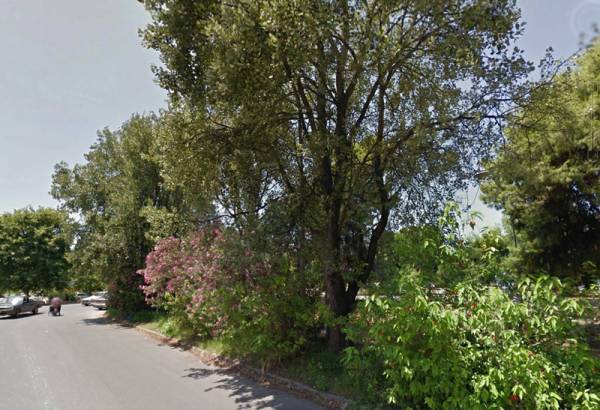 Η Καλαμάτα μπορεί να γίνει πράσινη πόλη