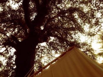 Το Φεστιβάλ της Λίμνης Λάδωνα