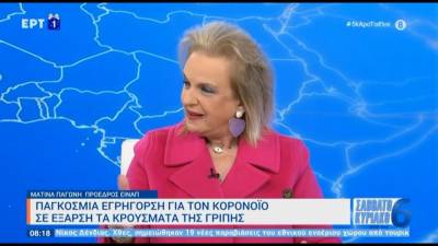 Μ. Παγώνη: «Θα έχουμε έξαρση γρίπης στους επόμενους δύο μήνες» (βίντεο)