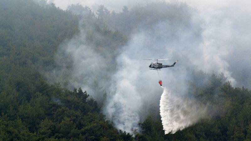 Λίβανος: Μεγάλη πυρκαγιά στο μεγαλύτερο πευκοδάσος της χώρας