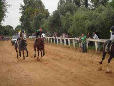 Ιπποδρομίες τη Δευτέρα στο Πλατύ