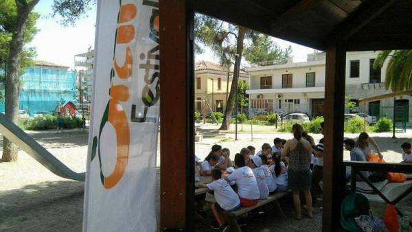 Φεστιβάλ... πορτοκαλιού και συνεργατικότητας!