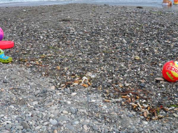 Αποτσίγαρα στην παραλία