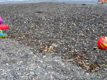 Αποτσίγαρα στην παραλία