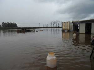 Καταστράφηκε κτηνοτροφική μονάδα στο Ασπρόχωμα