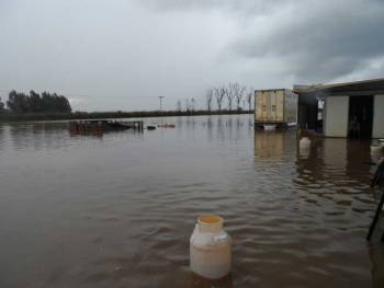 Καταστράφηκε κτηνοτροφική μονάδα στο Ασπρόχωμα