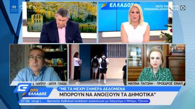 Παγώνη: Με τα μέχρι σήμερα δεδομένα μπορούν να ανοίξουν τα δημοτικά (Βίντεο)