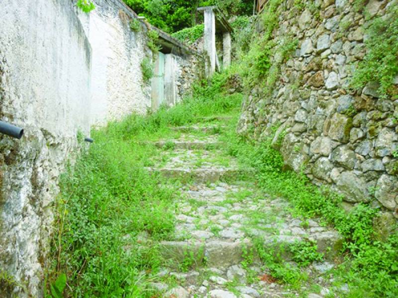 Ερώτηση βουλευτών του ΣΥΡΙΖΑ για τα μνημεία της Βέργας
