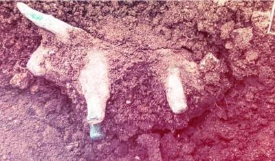 Νέο αρχαιολογικό εύρημα στην Αρχαία Ολυμπία: Η βροχή αποκάλυψε μικρό ειδώλιο ταύρου