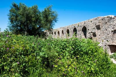 Χορτάρια στο Κάστρο της Ανδρούσας