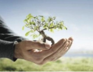 Το Δίκτυο Περιβαλλοντικής και Πολιτιστικής Προστασίας Λακωνίας στο Περιφερειακό Φόρουμ Πολιτών για την Ενέργεια και το Περιβάλλον