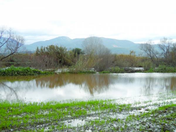 Μεγάλες ζημιές στα πλημμυρισμένα χωράφια (φωτογραφίες)