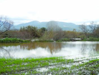 Μεγάλες ζημιές στα πλημμυρισμένα χωράφια (φωτογραφίες)