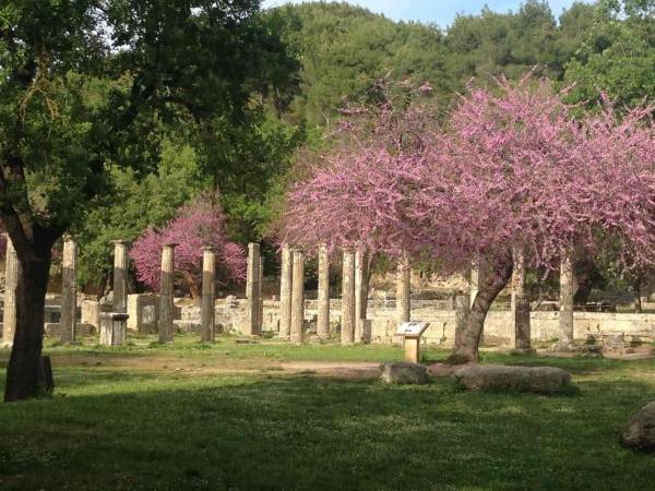 Τρένο από Καλαμάτα για Ολυμπία και Μυκήνες