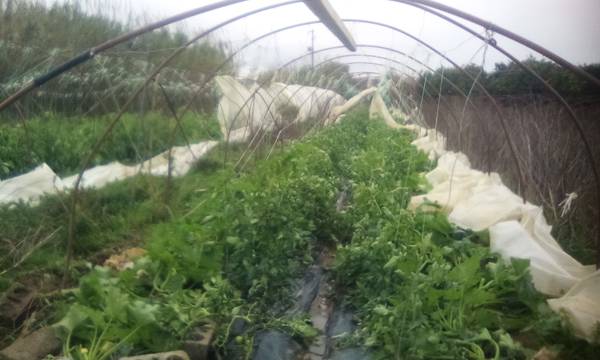 Πορίσματα ζημιών σε Λέικα και Ασπρόχωμα