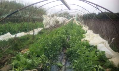 Πορίσματα ζημιών σε Λέικα και Ασπρόχωμα