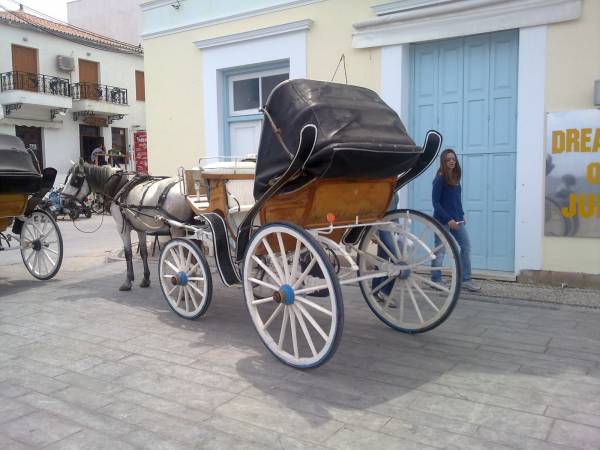 Τέλη κυκλοφορίας 100 ευρώ για... μόνιππο στην Τριφυλία