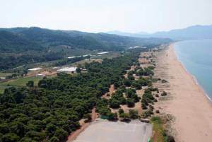 Κλιμάκιο της ΔΗΜΑΡ την Κυριακή στην Ελαία