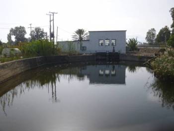 Μεσσηνία: Διαγωνισμός για γεννήτρια του ΓΟΕΒ