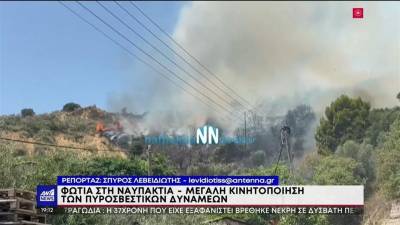 Φωτιά στη Ναυπακτία: Μεγάλη κινητοποίηση της πυροσβεστικής