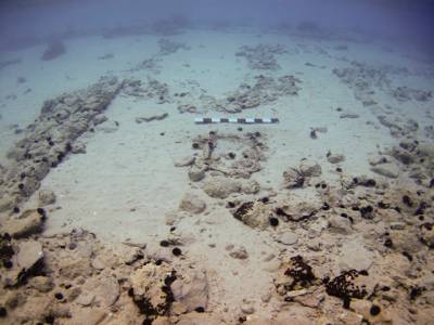 Το Παυλοπέτρι Λακωνίας αποκτά...ζωή