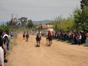 Φωτογραφίες από τις ιπποδρομίες στο Πλατύ