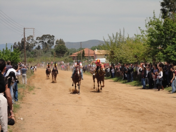 Φωτογραφίες από τις ιπποδρομίες στο Πλατύ
