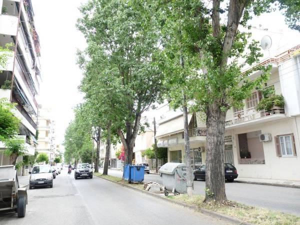 Μεταφύτευση δέντρων στην Καλαμάτα