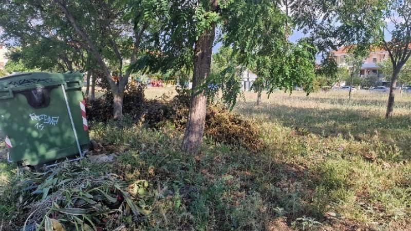 Σχεδόν 702.000 οι δηλώσεις καθαρισμών των οικοπέδων