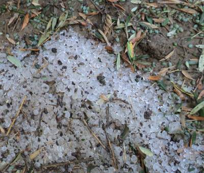 Πορίσματα του ΕΛΓΑ για ζημιές στην Καλαμάτα