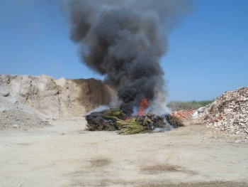 Εγινε στάχτη το χασίς από τους Γαργαλιάνους